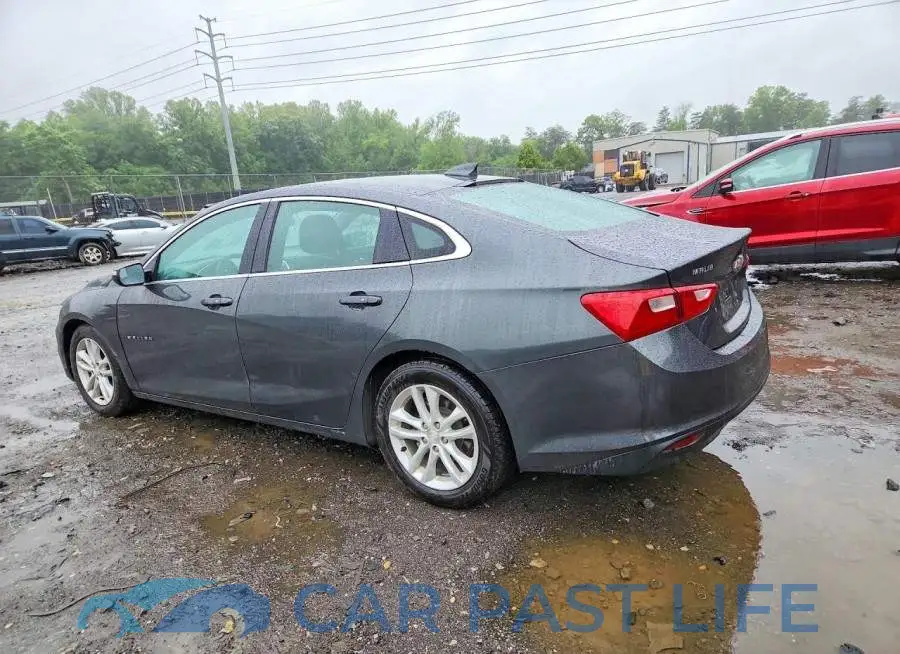 1G1ZD5ST8JF144516# 2