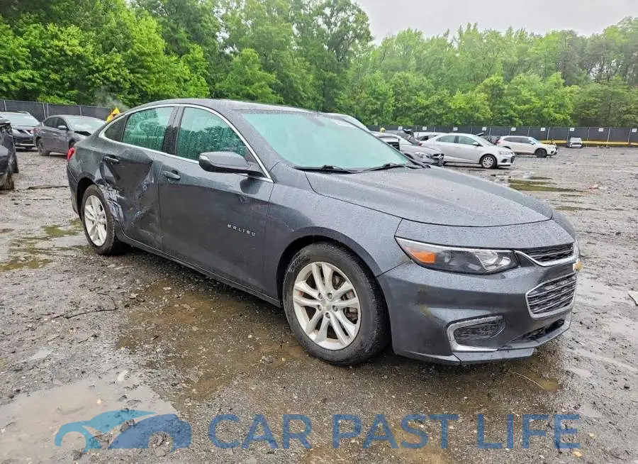 1G1ZD5ST8JF144516# 4