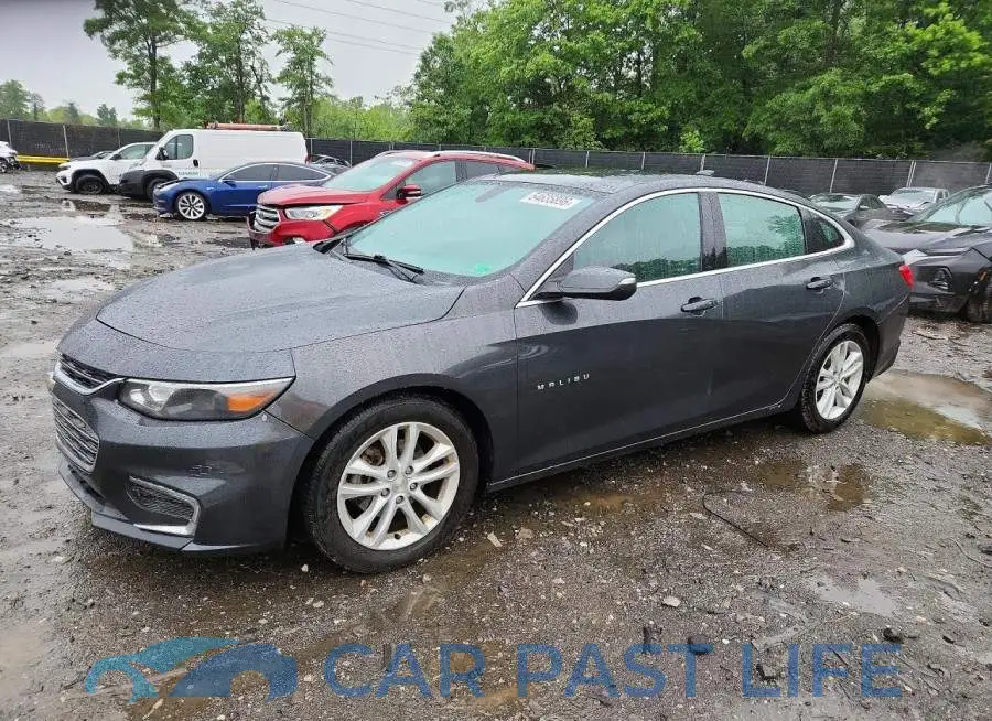 1G1ZD5ST8JF144516# 1