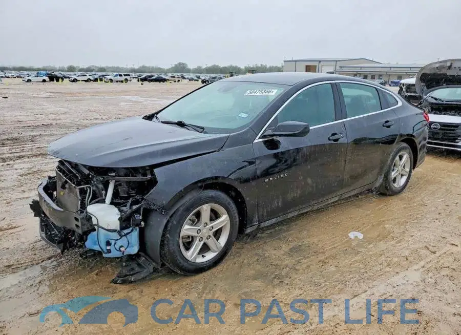 1G1ZD5ST8PF161194# 1