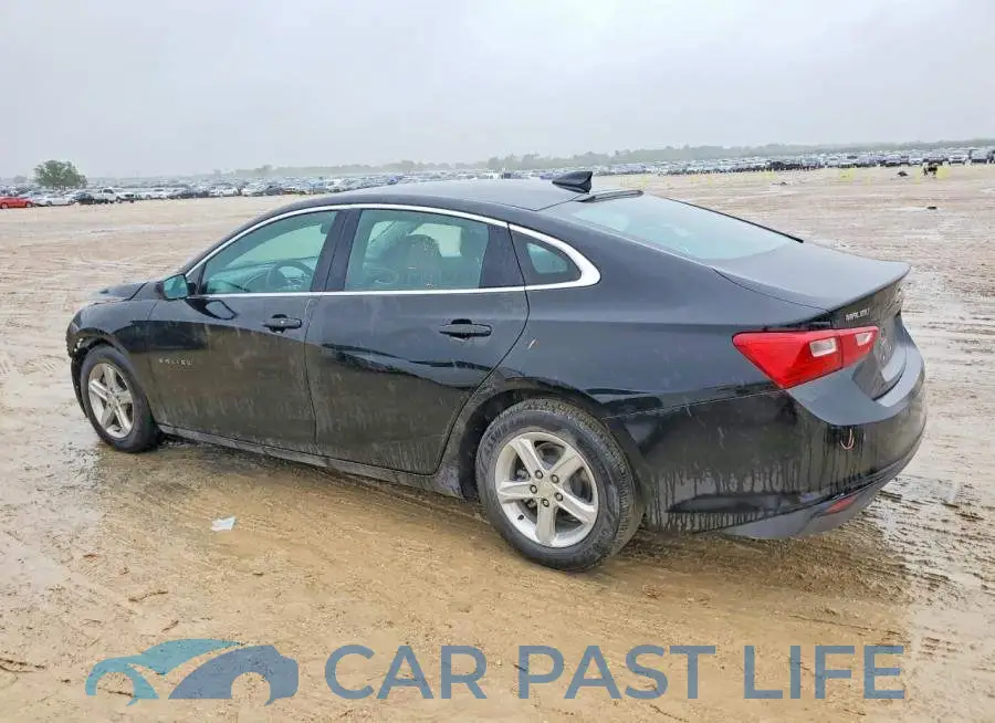 1G1ZD5ST8PF161194# 2