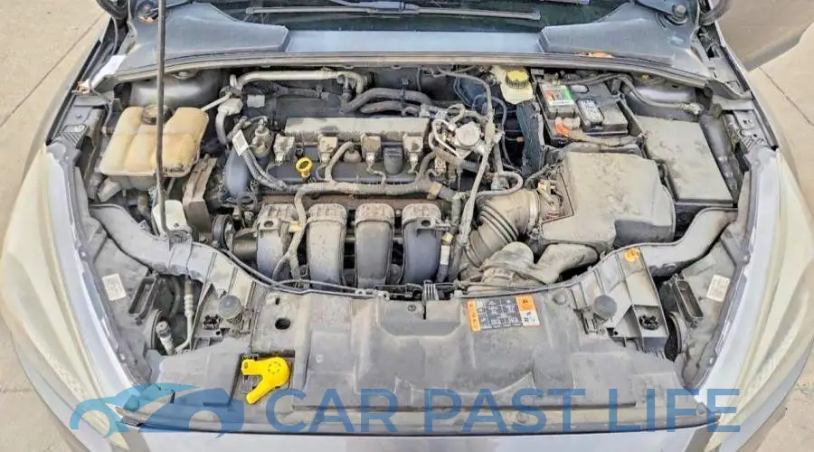 1FADP3E21HL230087# 11