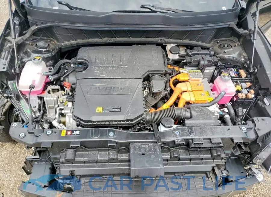 KNDCP3LE4T5319300# 11