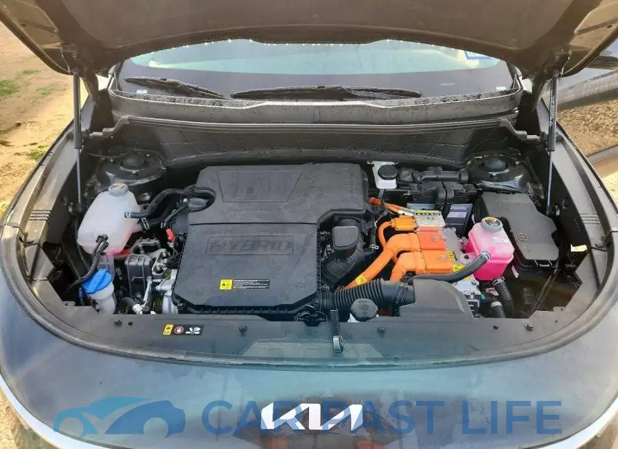 KNDCP3LE5T5332427# 11