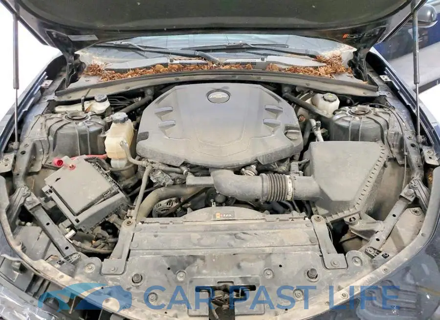 1G1FB1RS7R0114694# 11