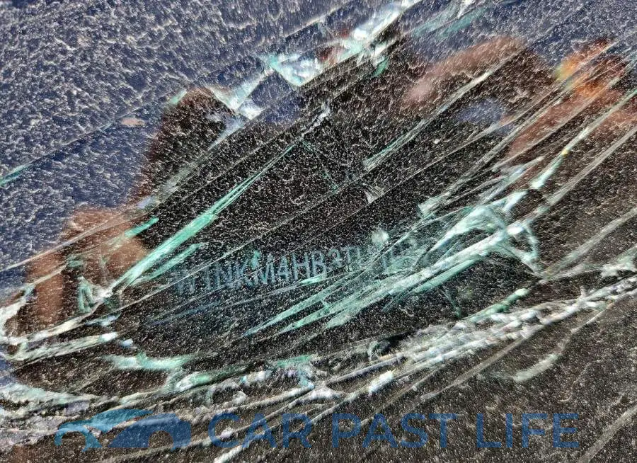 W1NKM4HB3TU107785# 13