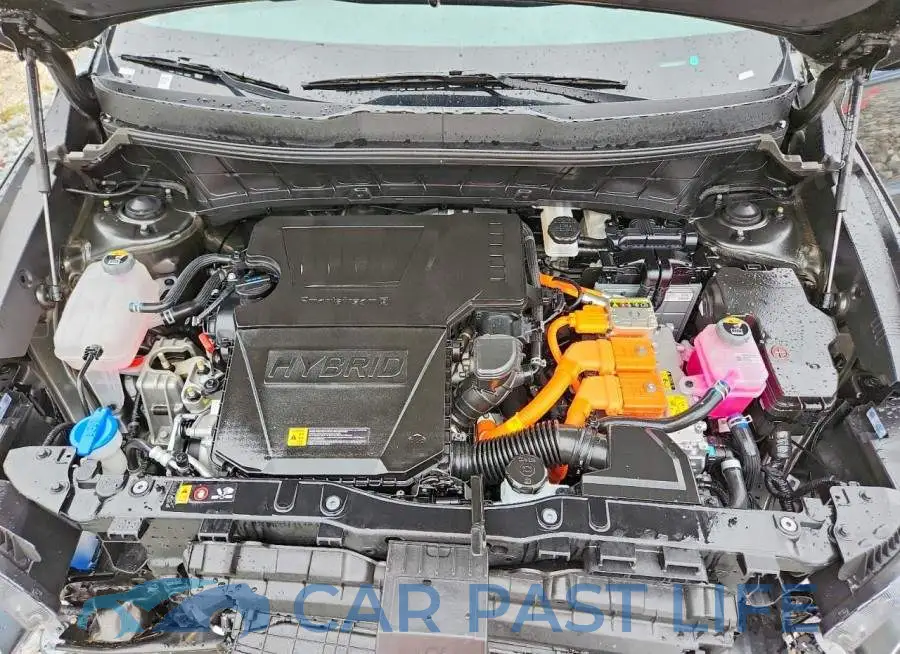 KNDCP3LE8T5325150# 11