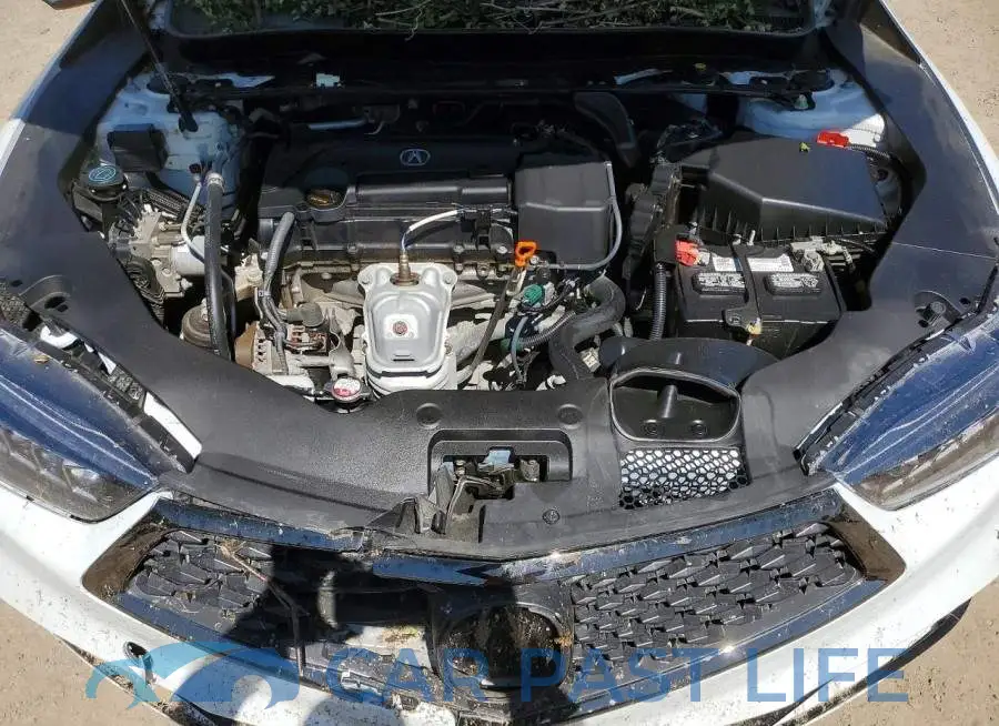 19UUB1F69LA800177# 11
