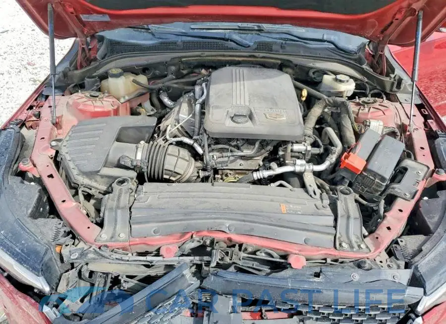 1G6DB5RK4M0133155# 11