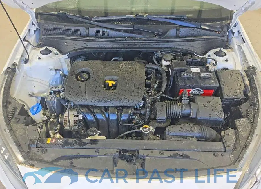 3KPF54AD7PE522324# 11