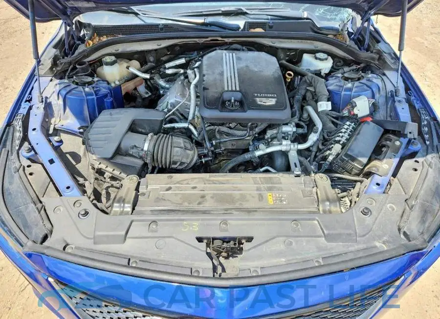 1G6DW5RK8M0116881# 11