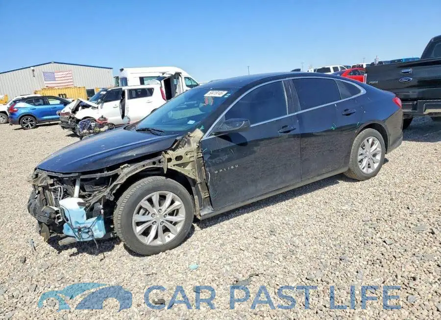 1G1ZD5ST6KF166791# 1