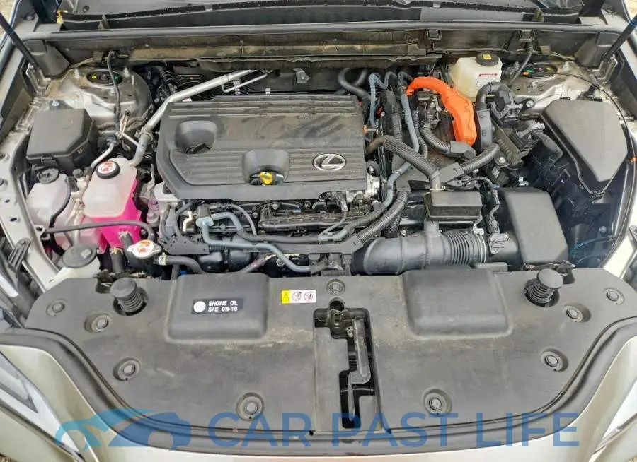 JTJHKCEZ1S2041022# 12