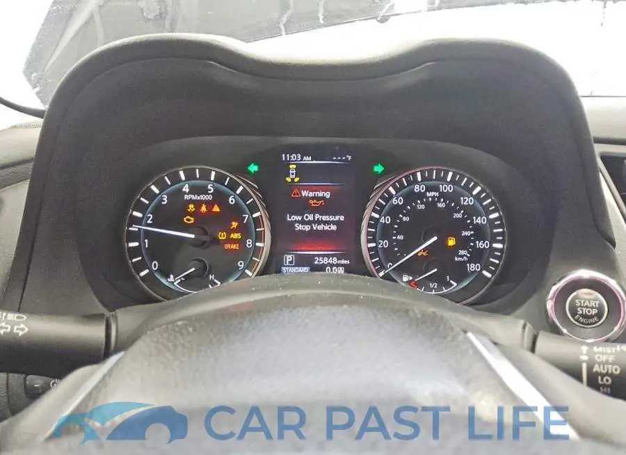 JN1EV7BP0RM601718# 9
