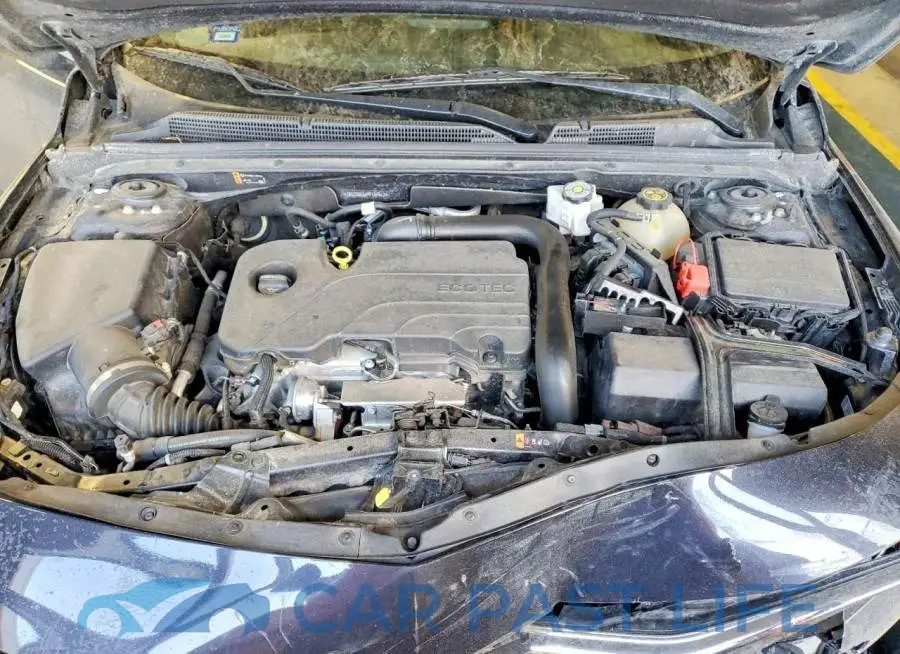 1G1ZD5ST1PF137612# 11
