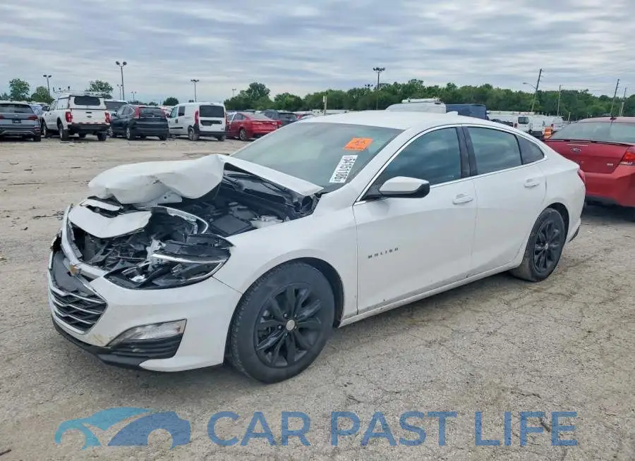1G1ZD5ST8PF222446# 1