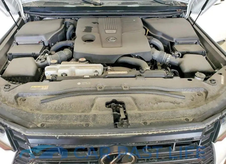 JTJVBCDX6R5004768# 12