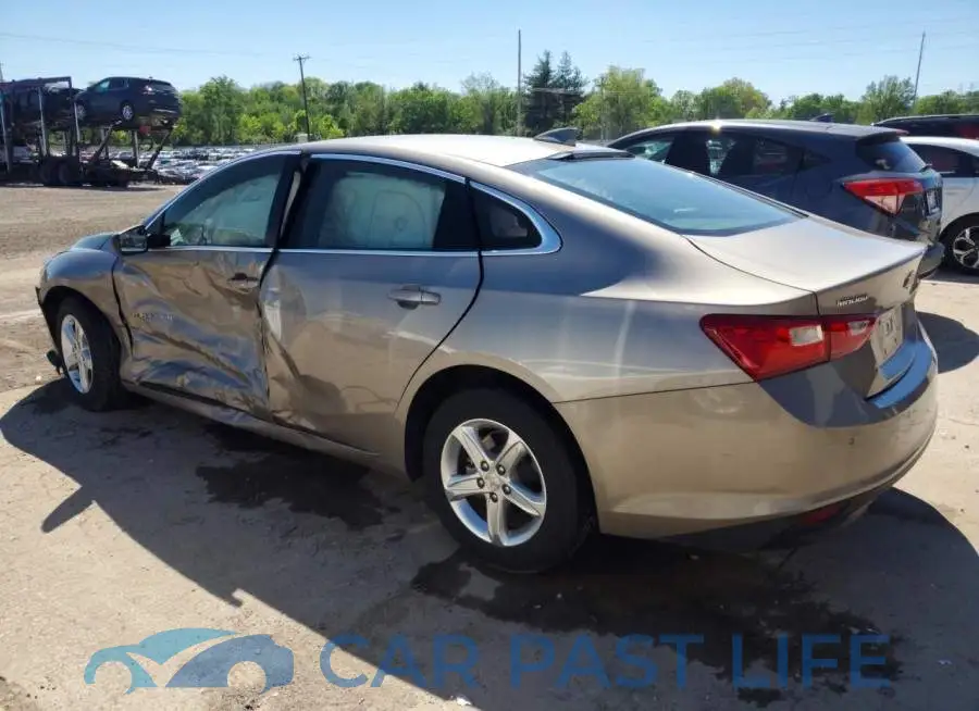 1G1ZD5ST9PF156408# 2
