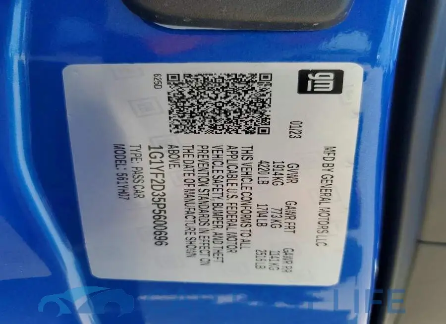 1G1YF2D35P5600696# 13