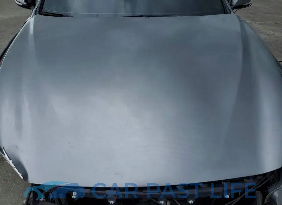 JN1EV7BP7MM702666# 11