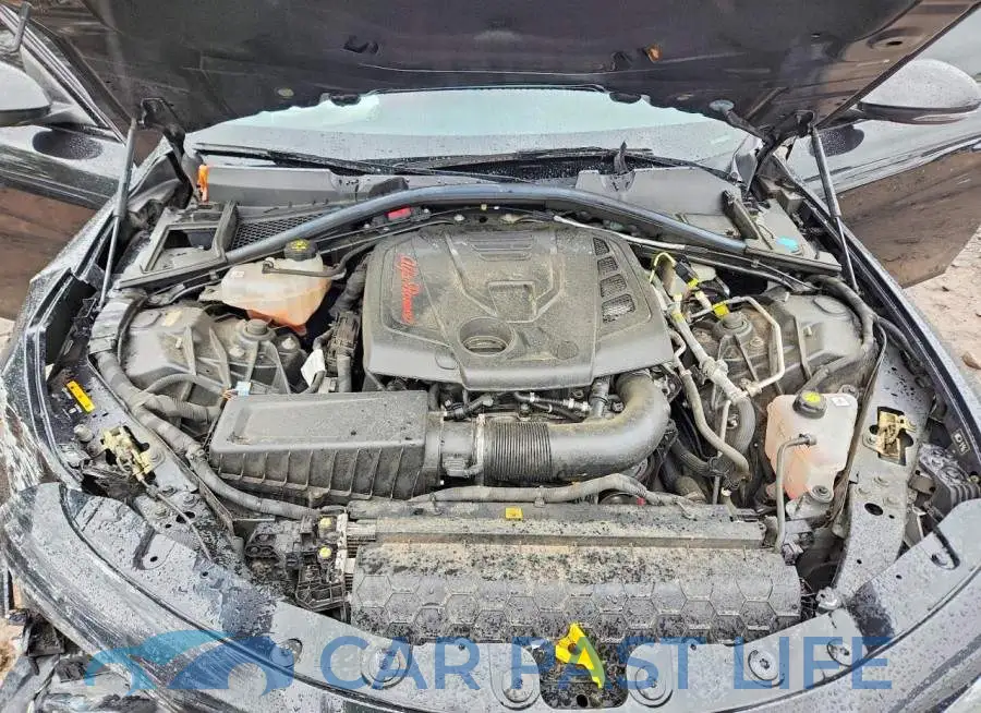 ZARFANAN1L7635163# 11