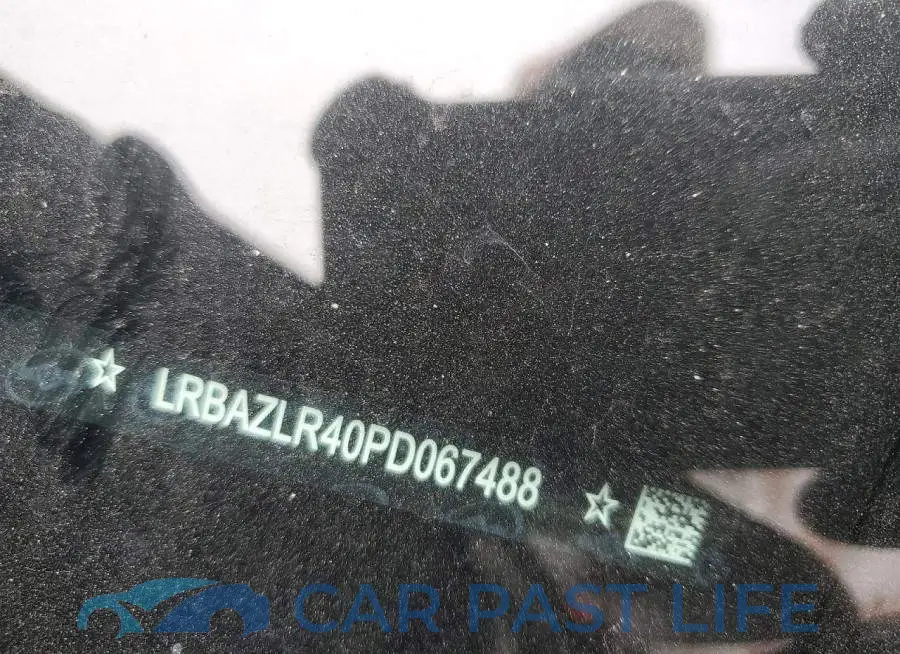 LRBAZLR40PD067488# 12