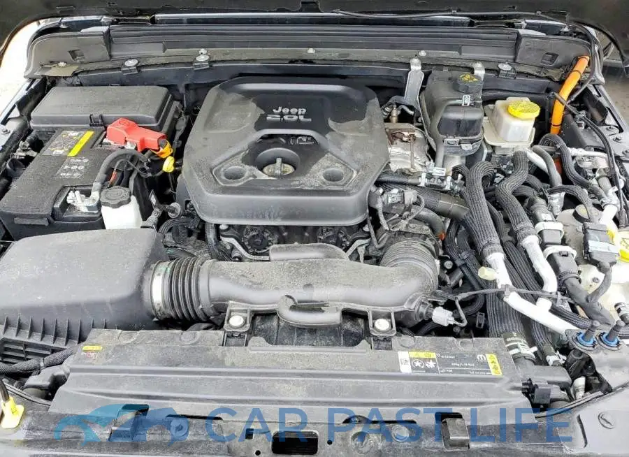 1C4JJXP64PW556534# 12