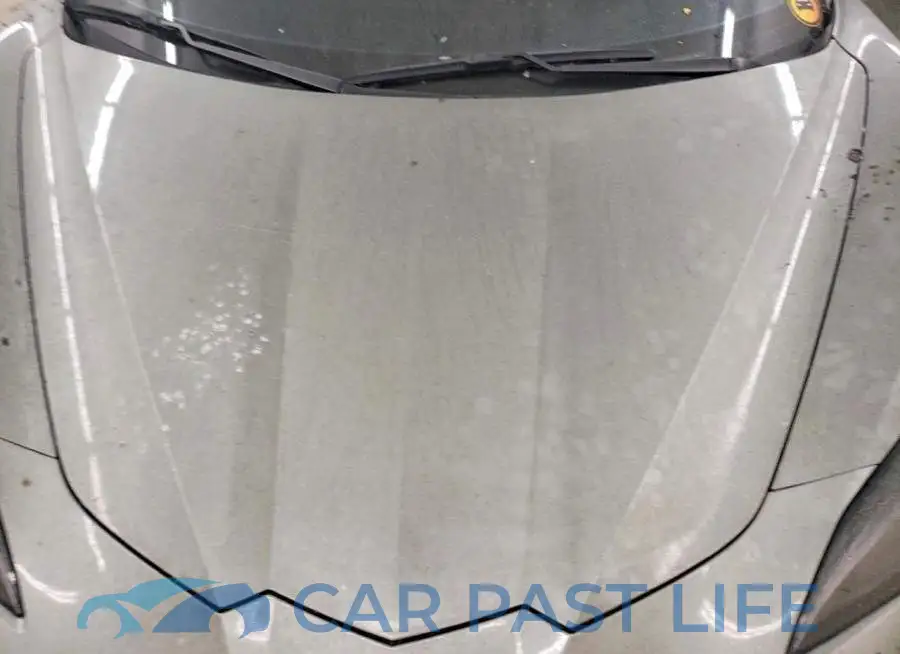1G1YF3D34R5601704# 11