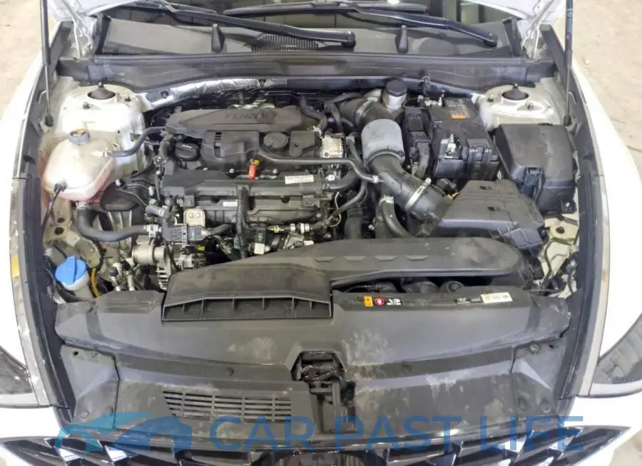 KMHL34J2XPA331518# 11