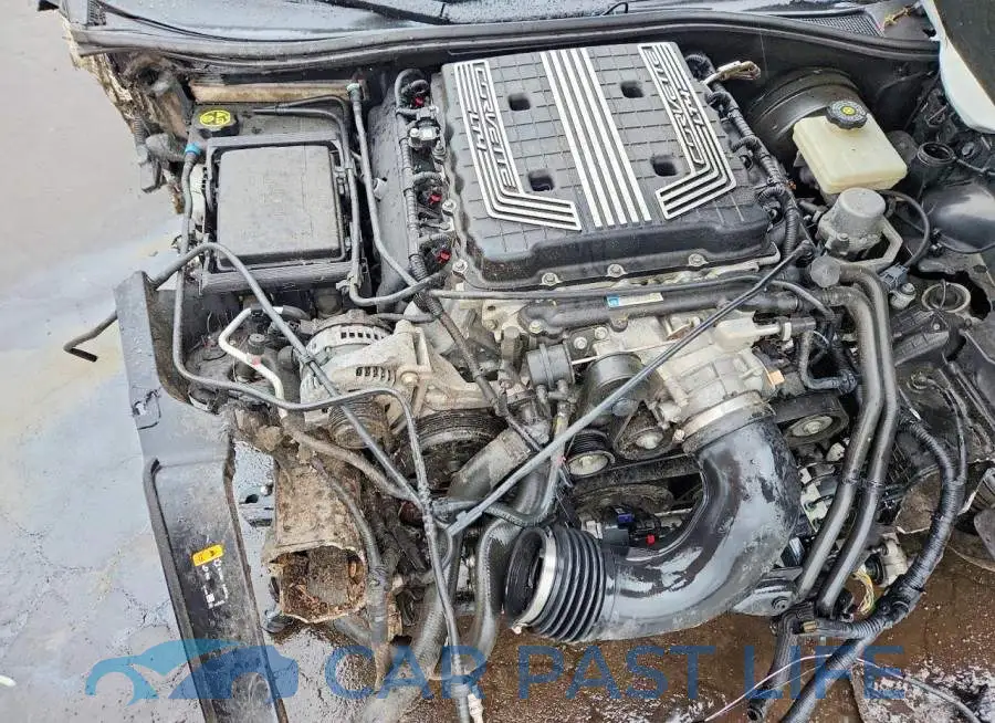 1G1YS2D66K5606814# 11