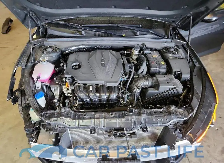 KNAG24J74T5451481# 11