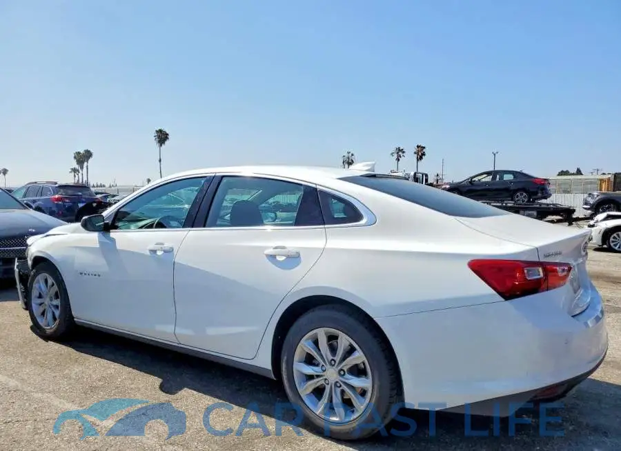 1G1ZD5ST7RF197185# 2