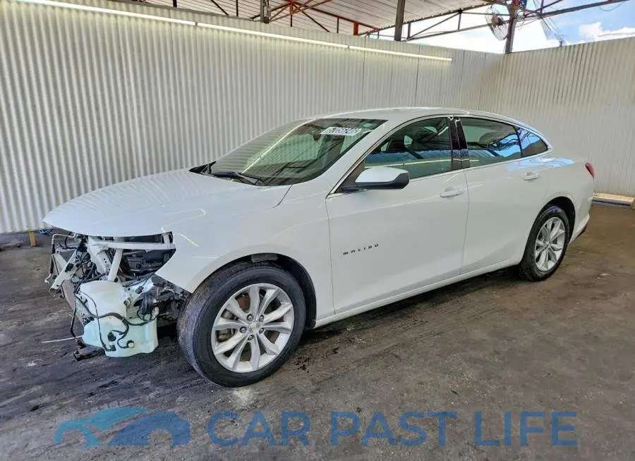1G1ZD5ST2PF169517# 1