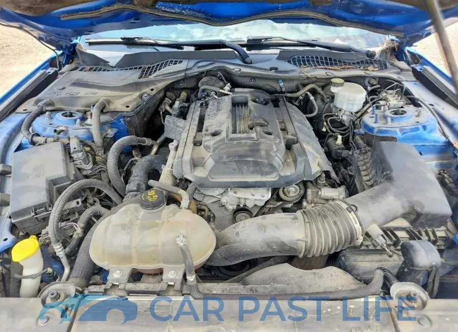 1FA6P8TH8K5197078# 11