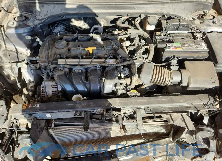 3KPF54AD7PE606613# 11