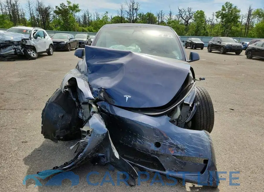 7SAYGDEE7PF699331# 5