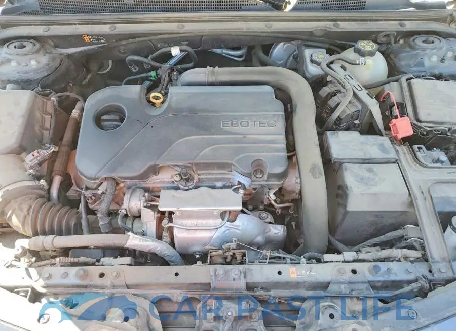 1G1ZG5ST6LF136568# 11