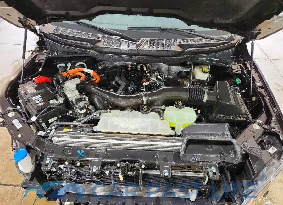 1FTFW3LDXRFA63061# 11