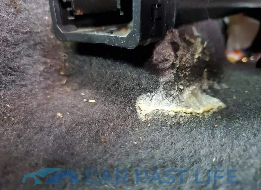 1G1ZB5ST5JF111088# 12