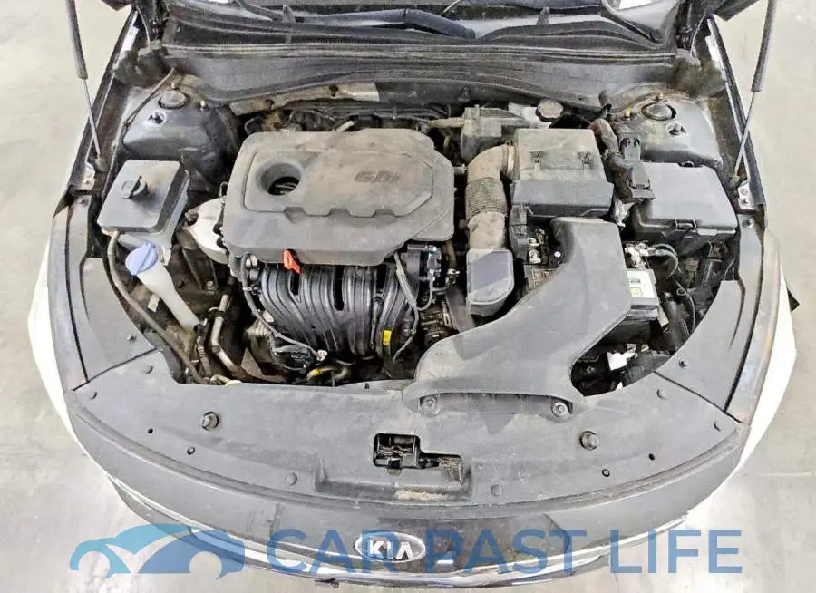 5XXGT4L32KG299463# 11