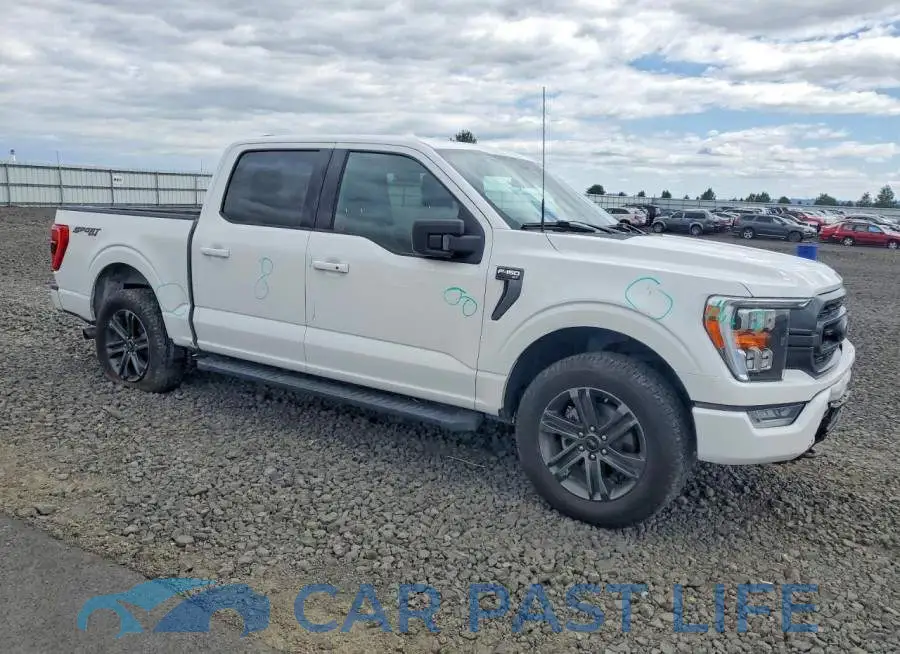 1FTEW1EP3MFB81646# 4