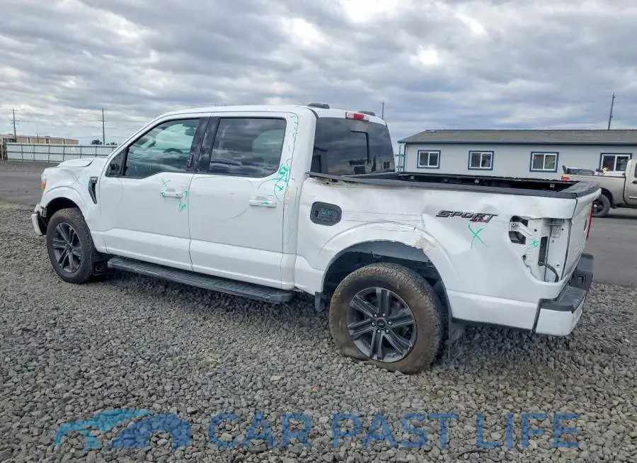 1FTEW1EP3MFB81646# 2