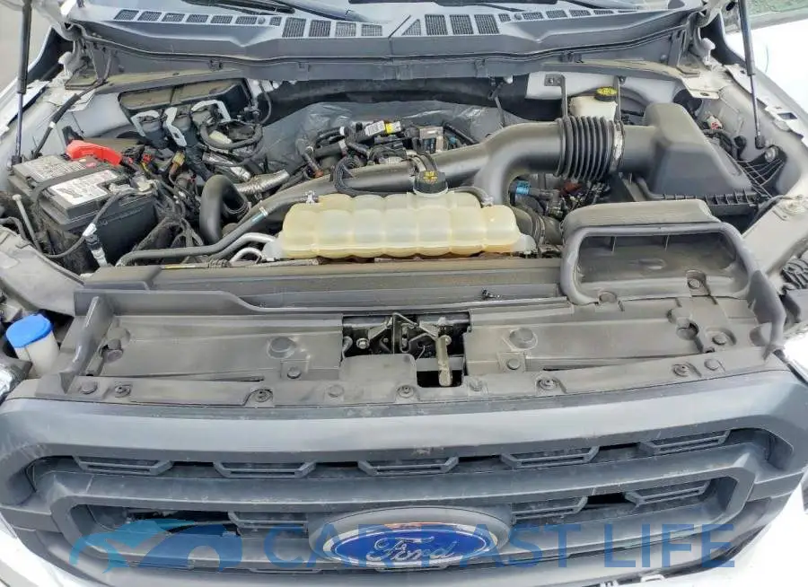 1FTEW1EP3MFB81646# 11