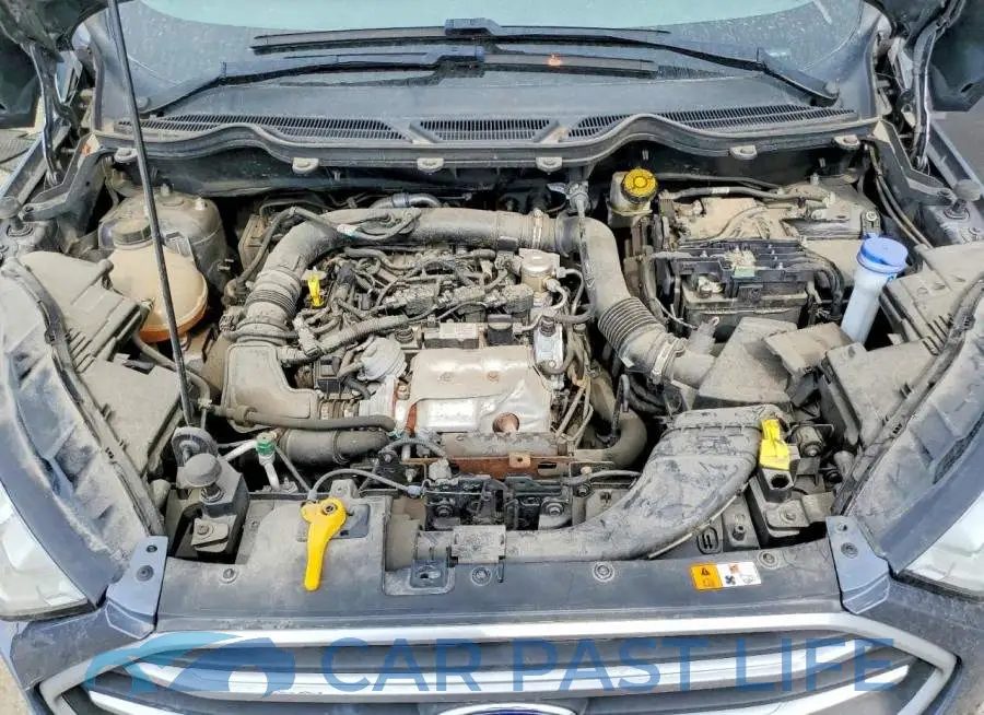 MAJ3S2GE8MC444886# 12