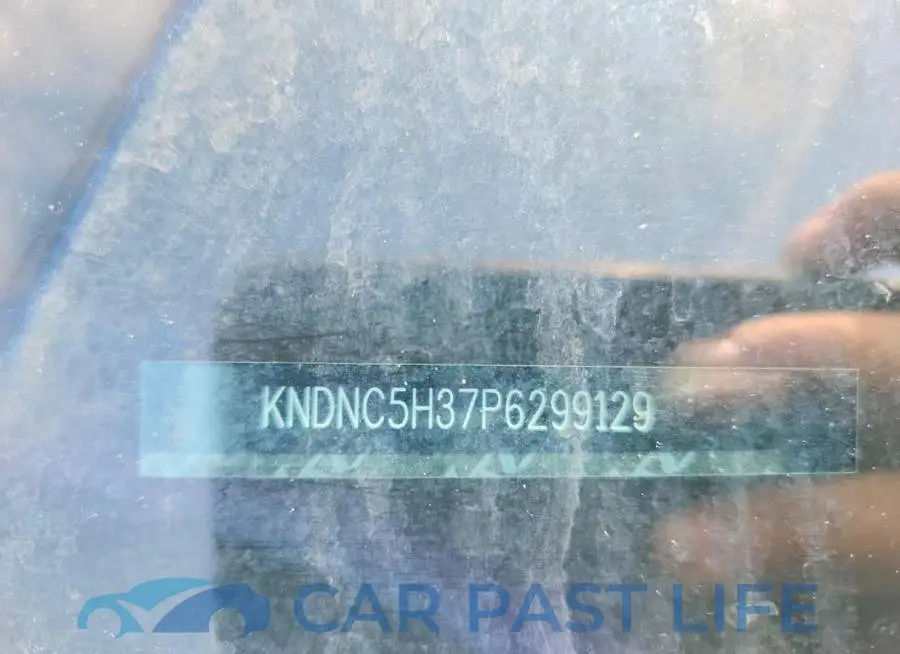 KNDNC5H37P6299129# 13