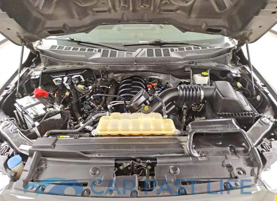 1FTFW1E52MKD65101# 11