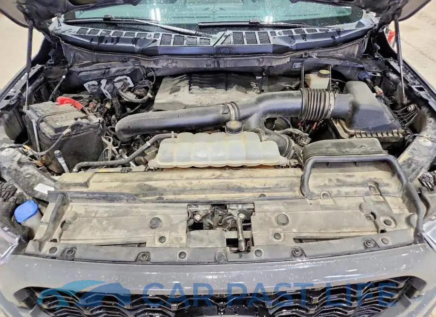 1FTFW1E86MKD79707# 11
