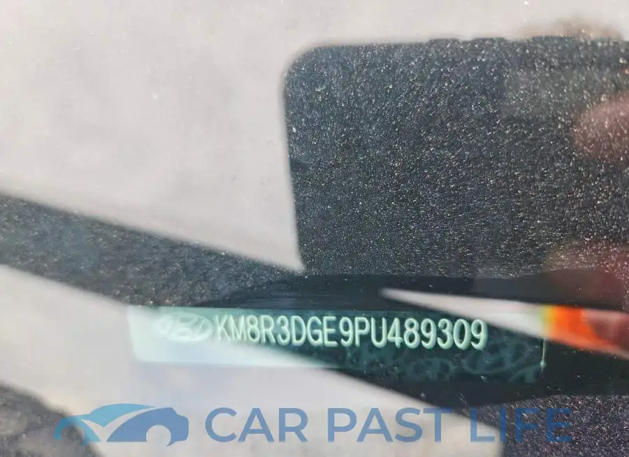 KM8R3DGE9PU489309# 12