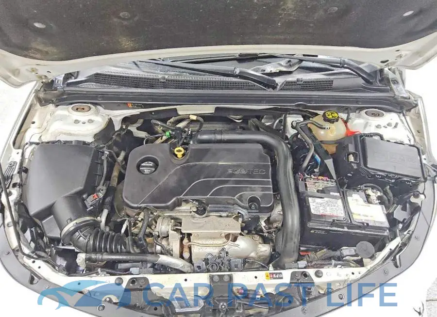 1G1ZD5ST1JF219217# 11