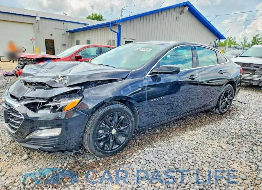 1G1ZD5ST6RF187781# 1